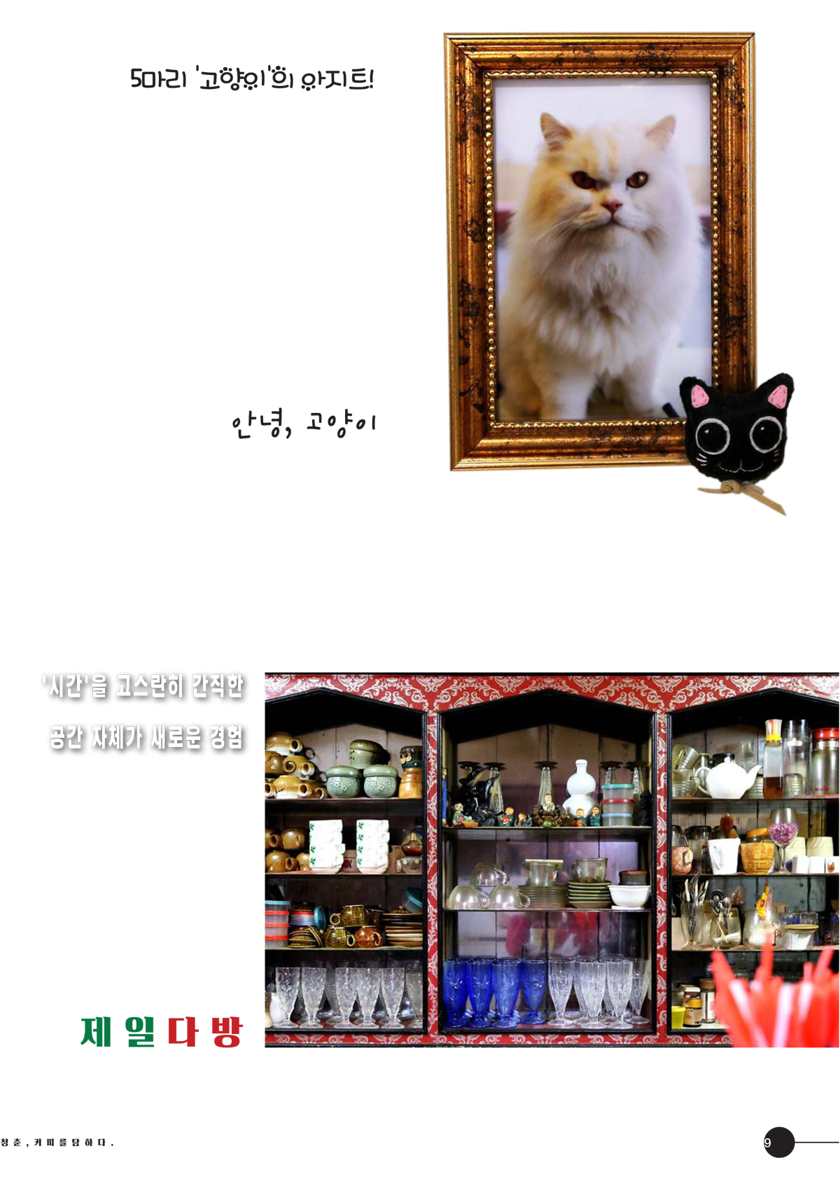 강릉커피축제 매거진