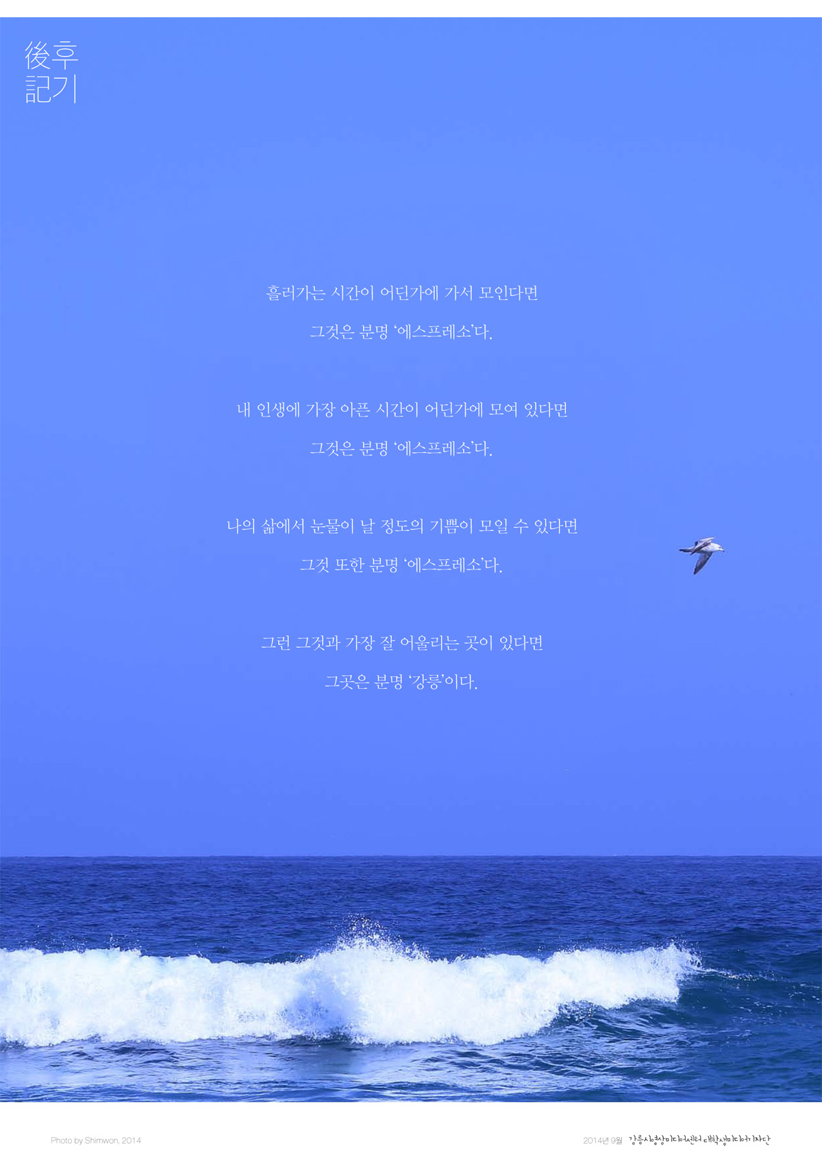 강릉커피축제 매거진